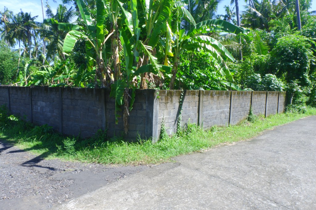Ready to Build 2 are Land in&nbsp;Kaliasem